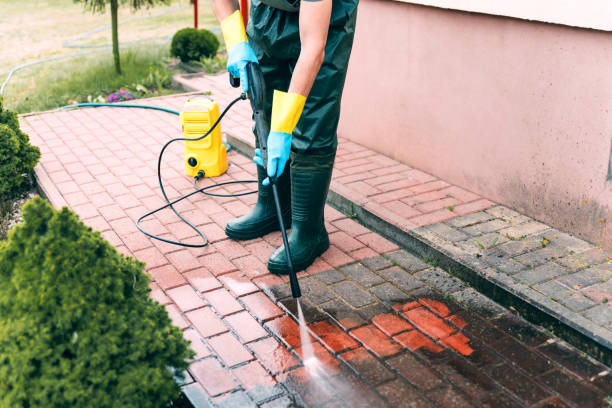 Animal Enclosure Cleaning in Goldsboro, NC